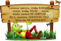 Приму в дар любые семена. Россия.