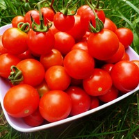 Как правильно хранить помидоры. Часть 2