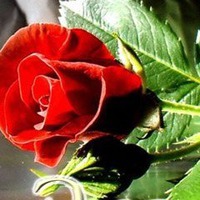 Сегодня поздравляем Элечку!