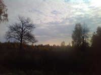 Осень жизни