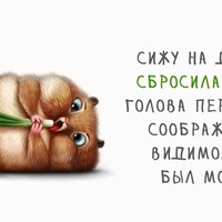 НЕМНОГО УГОРАЕМ О ТРУДНОСТЯХ ДИЕТЫ