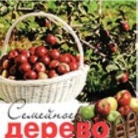Семейное дерево: традиции, оберег, удовольствие