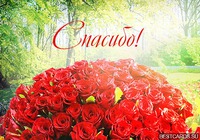 Спасибо от всего сердца!