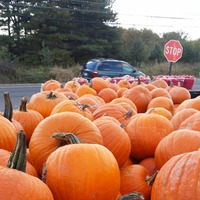 В доме холодно, как в погребе. Выхожу на улицу погреться...