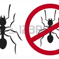 Борьба с муравьями