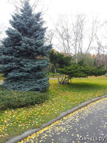 ���������� ���!