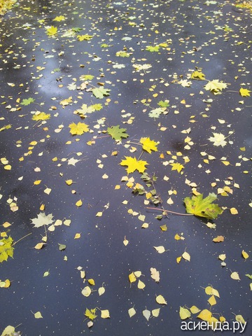 ���������� ���!