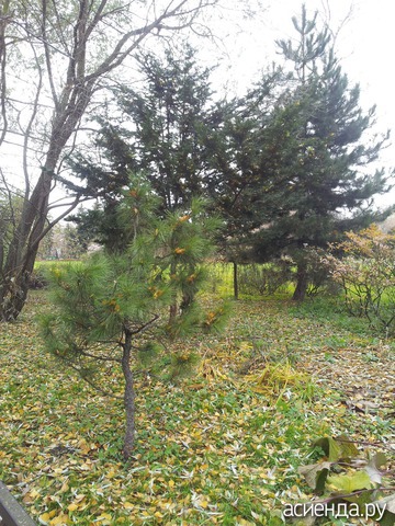 ���������� ���!