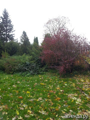 ���������� ���!