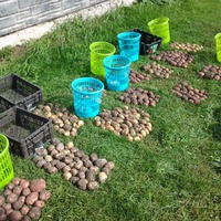 И снова о ней...