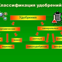 Про подкормки... так, для себя, чтобы знать и с вами поделиться...