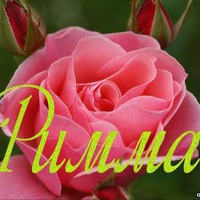 Сегодня поздравляем Риммочку!
