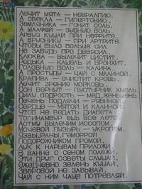 Целебные свойства растений в стихах.
