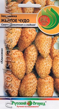 По проторенному пути