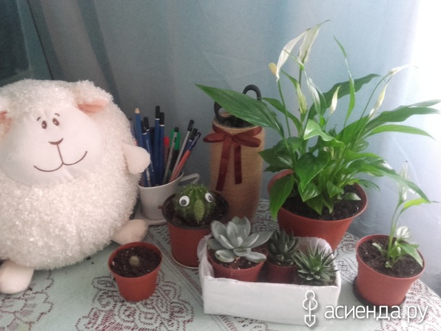 ����� ������