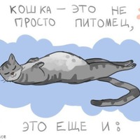 Если небо хмурится, а под боком... кот)))