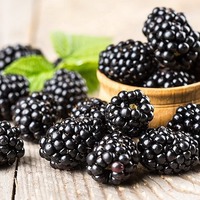 УХОД ЗА ЕЖЕВИКОЙ: 6 СОВЕТОВ
