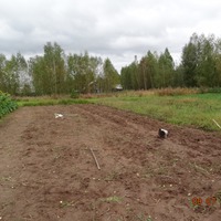 Борьба с урожаем.