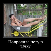 ВЕСЕЛЫЕ КАРТИНКИ))