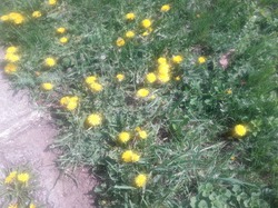 ������� ������. ��! � ��� �������!