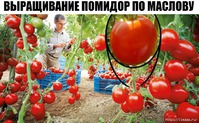 ������ ���������� ����� ����������� �������.