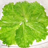 Как правильно хранить листья салата