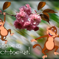 Всем всем! Хорошего настроения и прекрасного дня!!!