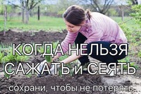 ����� ������ ������ � �����