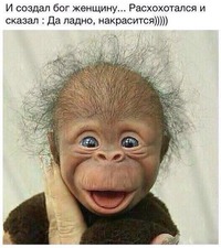 Из мира животных! немного улыбки!!!