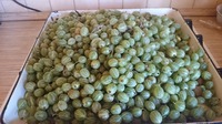 Подскажите рецепт для крыжовника