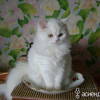 Масянька-мамка)))