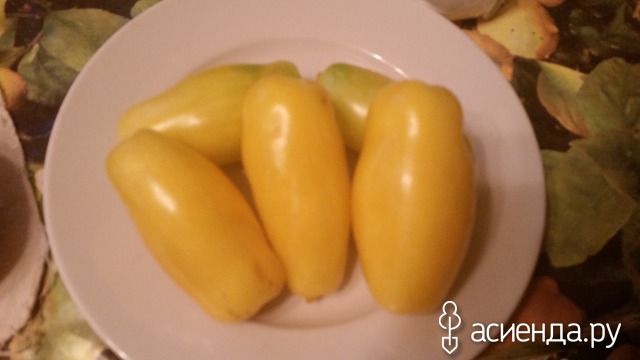 Банановые ноги1