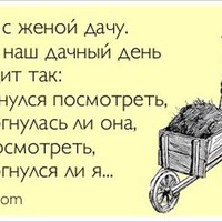Эх, дача-дачечка
