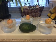 ������� �������� ����� ����... � � � � � � �