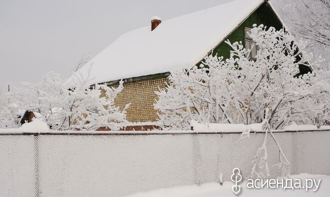 Снег на даче: помощь или вред?