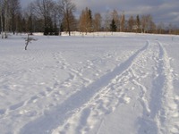 ... И еще... для релакса...
