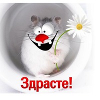 Доброе утро!!!