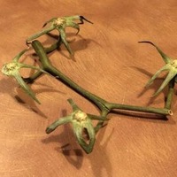 ����� �� ������� ������ �� ��������� �����������