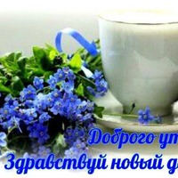 Здравствуй утро прекрасное! здравствуйте друзья!