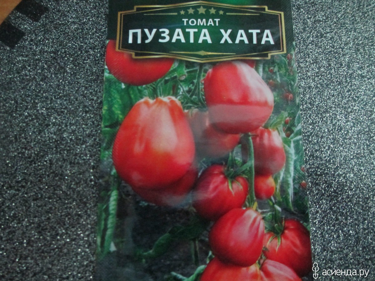 Пузата хата купить. Томат Пузата хата. Сорт помидор Казанова. Сорт помидор Пузата хата.