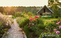 Рассада / цветы:, болезни огурцов