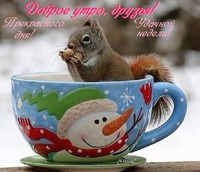 ДОБРОГО ВСЕМ УТРА...!!!
