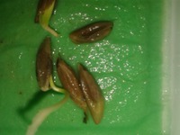 ��� �������!!!