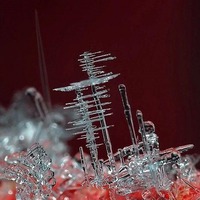 Крассота макросьемки- творение зимы