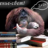 Школьные и студенческие будни