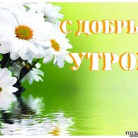 Доброе утро добрый день!!! извините припозднилась... ДЕЛА!