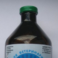 Вырастить лук-чего проще.