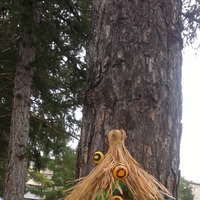 �������� ������ � ������� �� ��������� ����������.