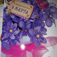 Подарок от Мышуни78