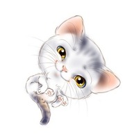 Дневник кота )))